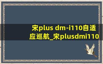 宋plus dm-i110自适应巡航_宋plusdmi110定速巡航怎么使用